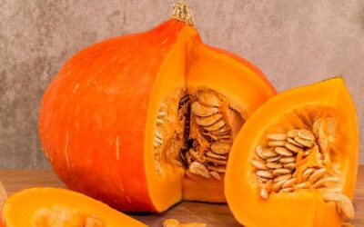 Temporada de calabaza: El fruto de otoño, conoce sus diferentes tipos