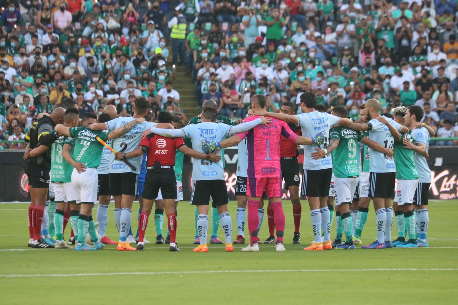 Tigres_16