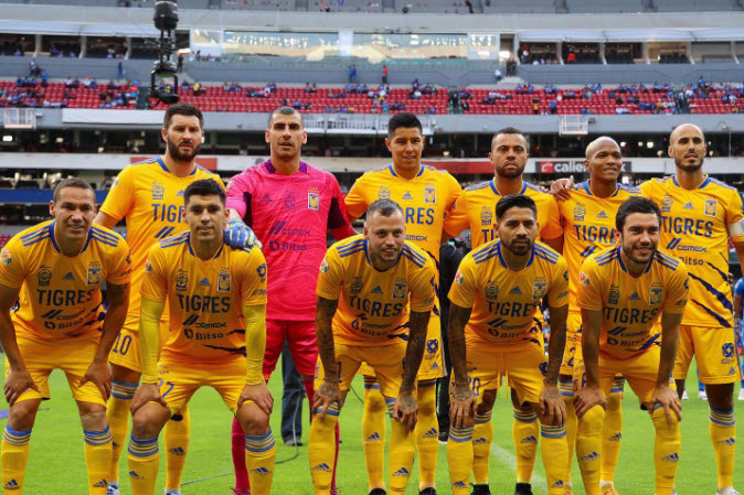 Tigres_25
