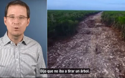 Ricardo Anaya: AMLO declara el Tren Maya obra de seguridad nacional