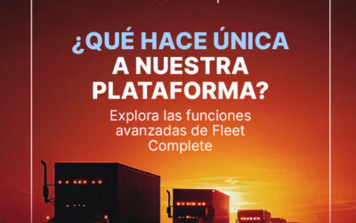 ¿Qué hace única a nuestra plataforma?