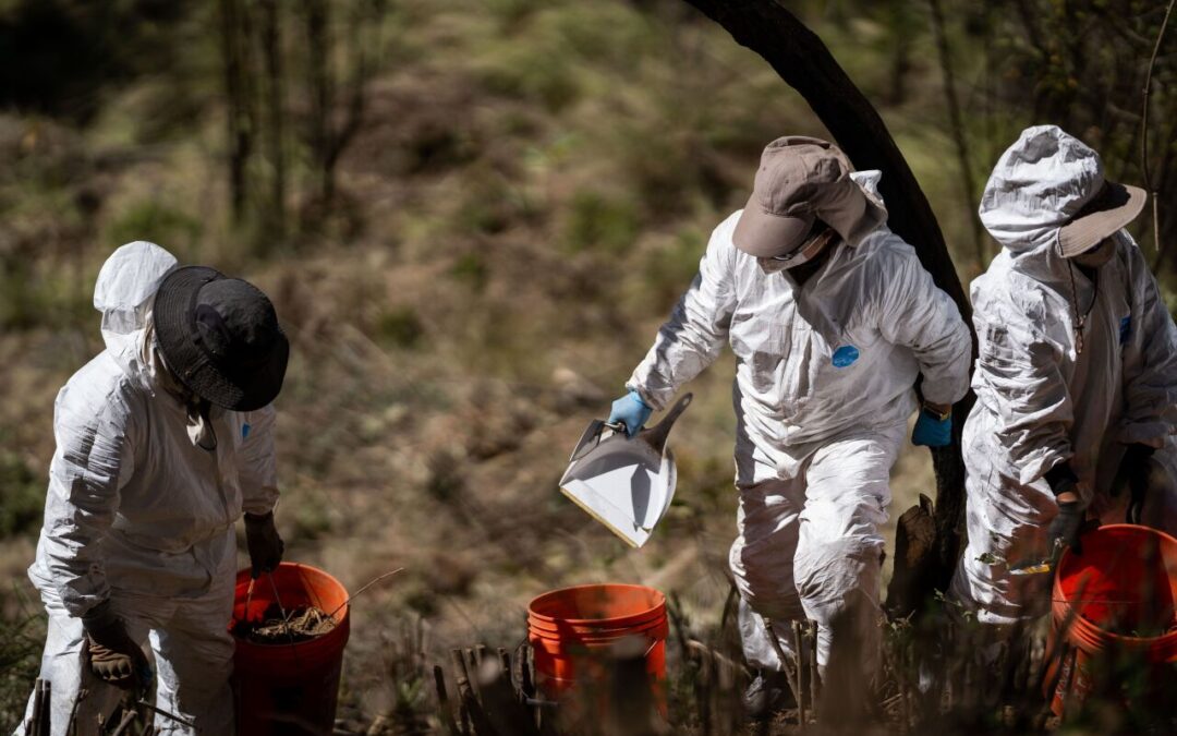 La CDMX refuerza seguridad en el Ajusco para evitar incremento de delitos