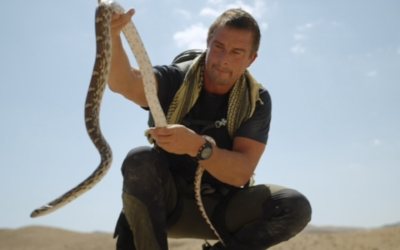 ¿Qué ha sido de Bear Grylls, de A prueba de todo?