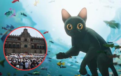 ¿De qué trata ‘Flow’?, la película que conmovió México y se proyectará gratis en el Zócalo
