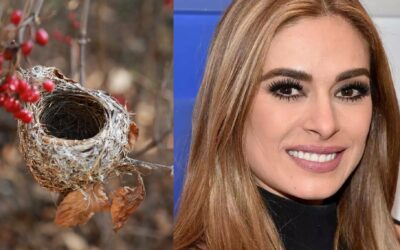 ¿Qué es el síndrome de ‘nido vacío’? Galilea Montijo dice padecerlo