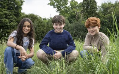 Llevarán la magia de Harry Potter a la pantalla, otra vez