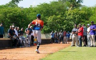 El complejo encaje de la ley de béisbol