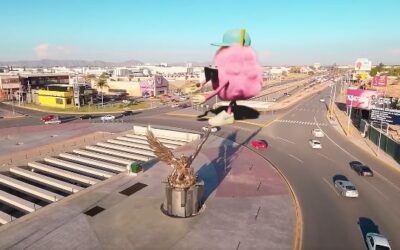 Algodón gigante causa revuelo en Torreón