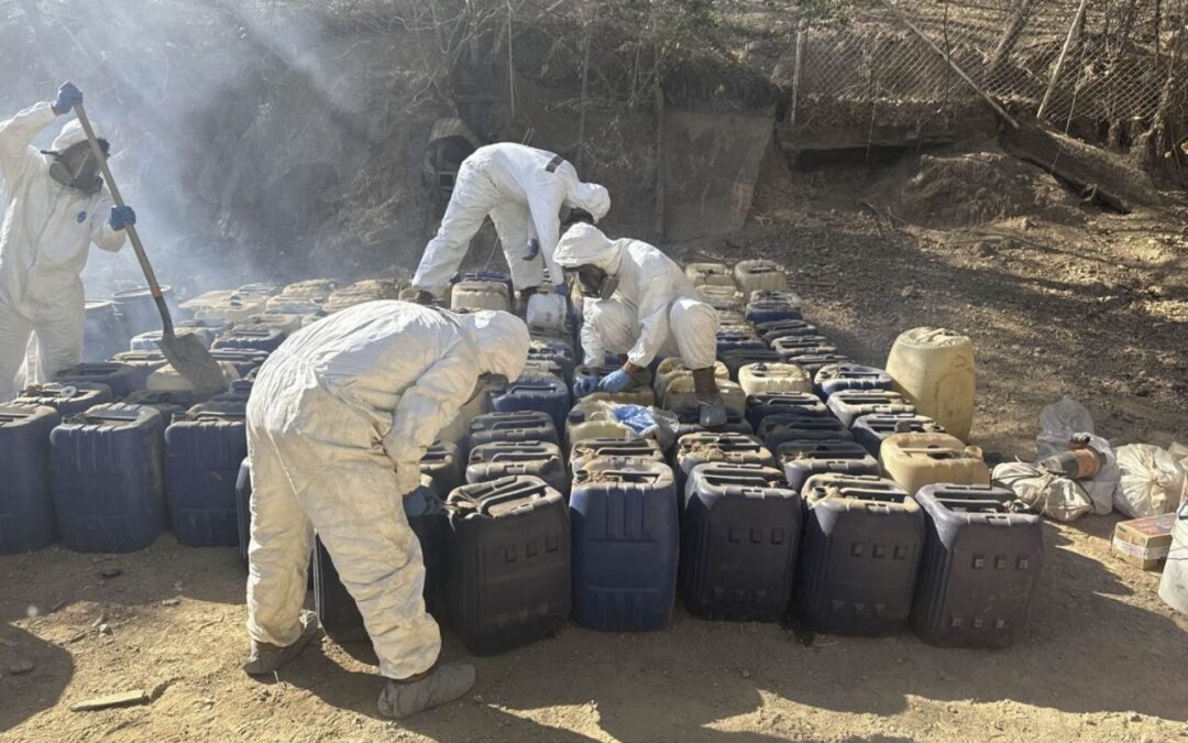 Pentágono alerta por expansión de cárteles mexicanos en África