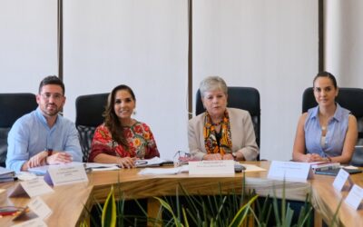 Semarnat analiza crear primer Parque de Economía Circular del Sargazo en QRoo