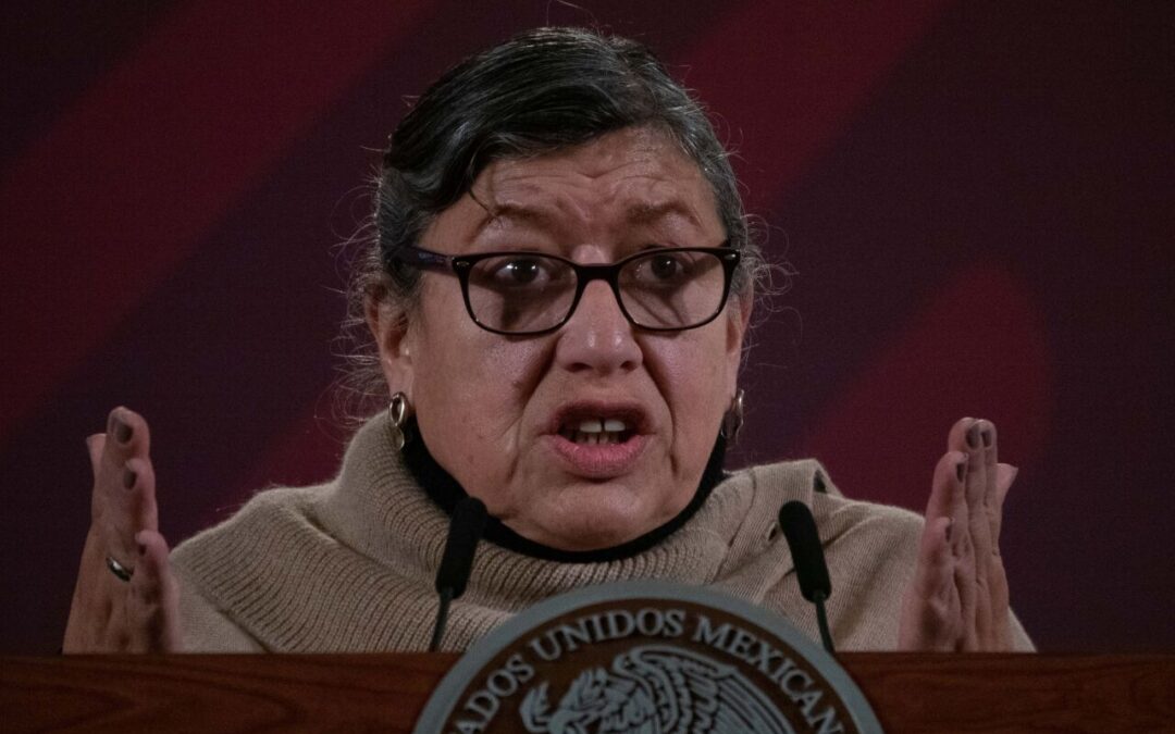 Teresa Reyes renuncia a la Comisión Nacional de Búsqueda