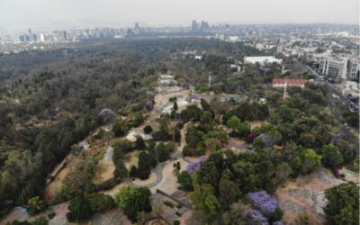La CDMX intensificará vigilancia en suelo de conservación para evitar invasiones