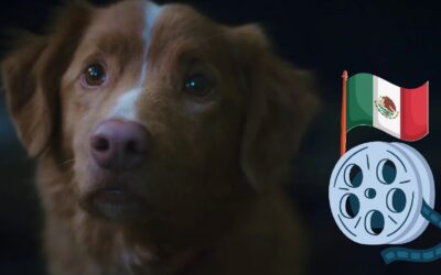 ¿Se estrenará la película de terror Good Boy en México?