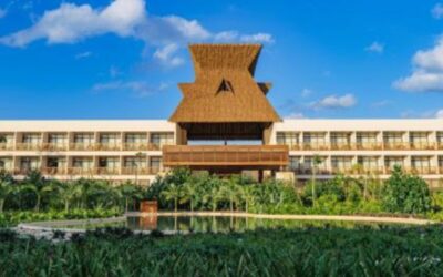 Plaga de escarabajo barrenador pone en riesgo un hotel de Tulum recién inaugurado