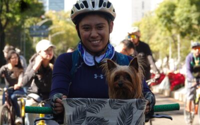 CDMX reconoce a los animales como seres sintientes