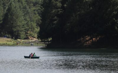 Aún no empiezan las clases, y ya hay fecha de puente por Consejo Técnico