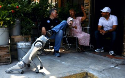 ‘Waldog’, el perro-robot que alerta sobre el maltrato animal en Nuevo León