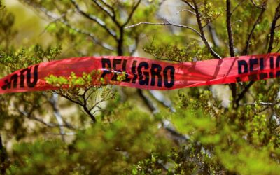 Los únicos dos estados en México que no son peligrosos para viajar, según EU