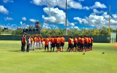 LIDOM: Toros anuncian Early Camp y entrenamientos pretemporada