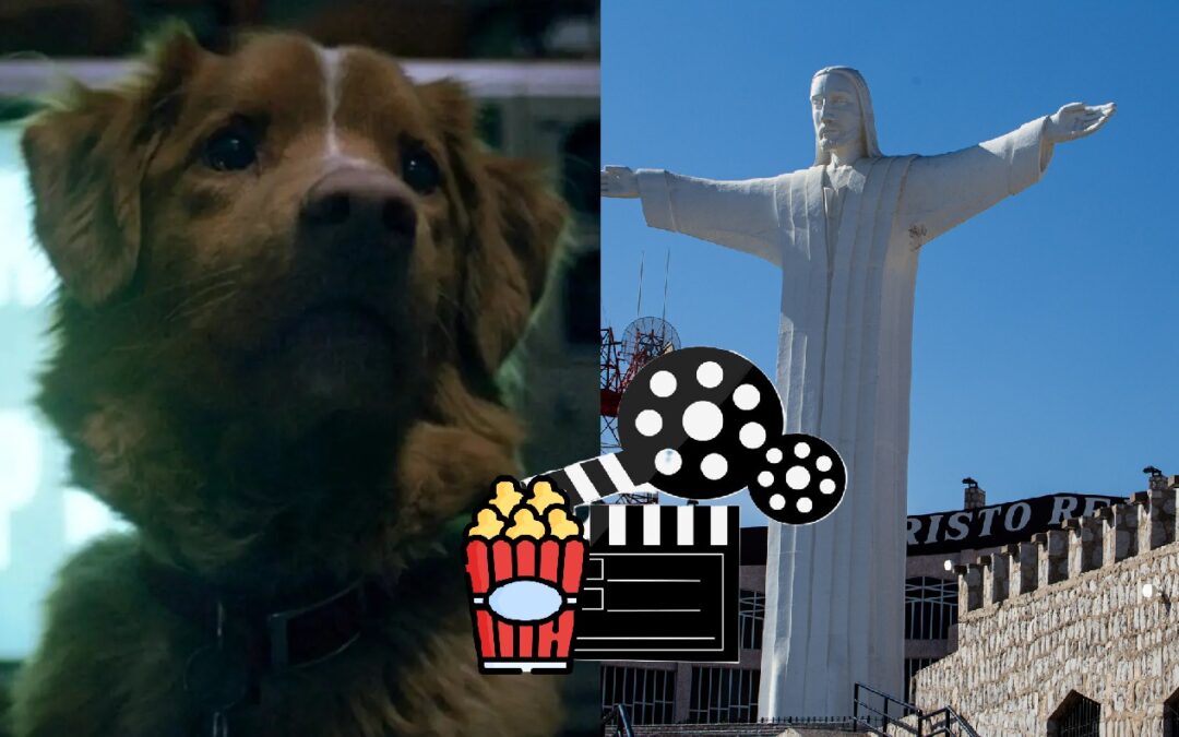 ¿Cuándo llega la película Good Boy a cines de Torreón?