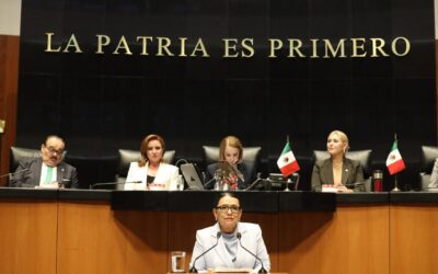 Rosa Icela: “El Gobierno mexicano no tiene compromisos con mafiosos”
