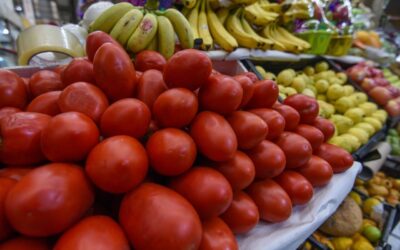 FAO: México desperdicia cada año 20.4 millones de toneladas de alimentos