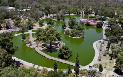 Gobierno de CDMX y sociedad civil van por agenda climática rumbo al 2030