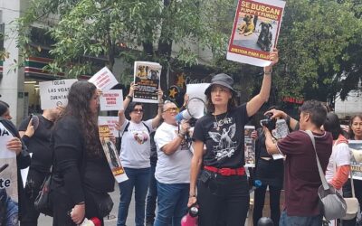 Organizaciones exigen destituir a directora de Brigada de Vigilancia Animal de CDMX