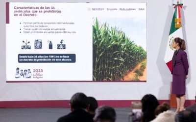 Gobierno lanza Café del Bienestar; será soluble y costará entre 35 y 110 pesos