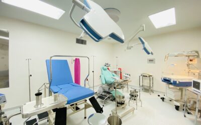 Las denuncias internas como derecho a la información en casos de salud pública