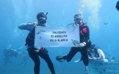 Semarnat anula resolución ambiental del proyecto de Cuarto Muelle en Cozumel