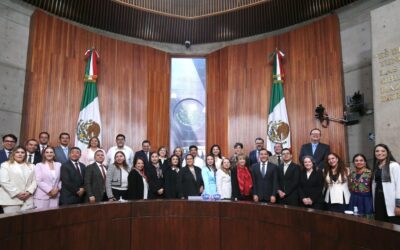 Pleno del Tribunal Electoral cubre sus dos plazas vacantes