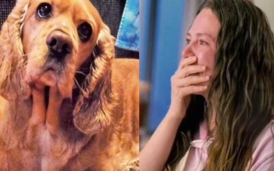 ¿Cuál es la verdadera historia de la canción ‘Con quién se queda el perro’? Joy lo reveló