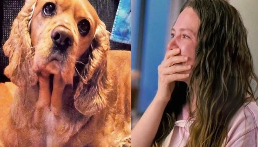 ¿Cuál es la verdadera historia de la canción ‘Con quién se queda el perro’? Joy lo reveló