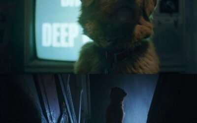 Terror y ternura canina Terror y ternura canina en una sola película