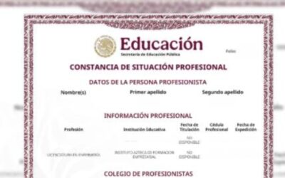 ¿Qué es la Constancia de Situación Profesional oficial, para qué sirve y cómo se descarga?
