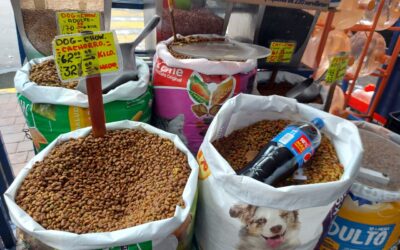 Tasa cero en alimentos para mascotas, propone el PAN