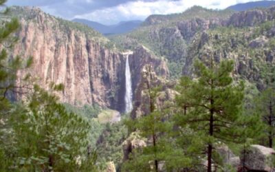 México ‘peleará’ contra la crisis climática con el presupuesto más bajo en 20 años