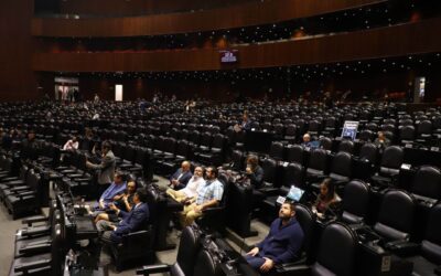 Reglas de pandemia covid permiten que legisladores hagan lo que quieran durante sesiones