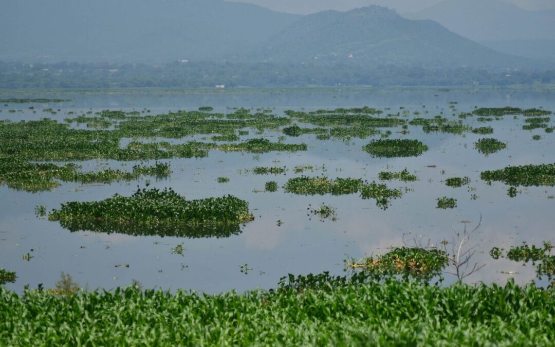 Reforma a Ley General de Aguas va tras concesiones irregulares y sube sanciones