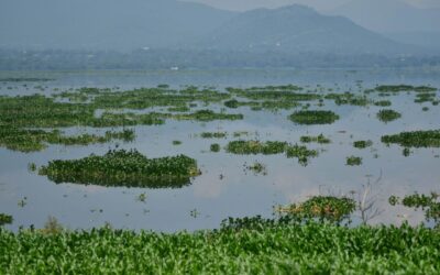 Reforma a Ley General de Aguas va tras concesiones irregulares y sube sanciones