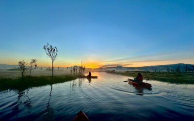 Kayaks en la mira del Congreso CDMX; buscan regular servicios en Xochimilco