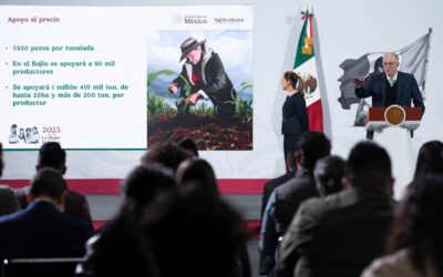 Gobierno logra acuerdo con agricultores; tendrán apoyo de 950 pesos por tonelada de maíz