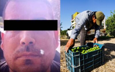 Detienen a »El Pantano» por homicidio de líder limonero en Michoacán
