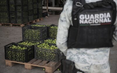 SSPC detiene a «Llanero» por extorsión a limoneros de Michoacán