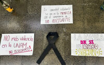 Fábricas de odio en el mundo digital o el fenómeno ‘Incel’