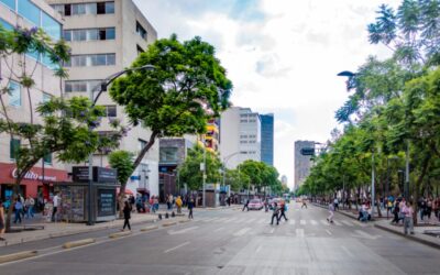 Estas son las marchas y bloqueos previstos para este 26 de noviembre