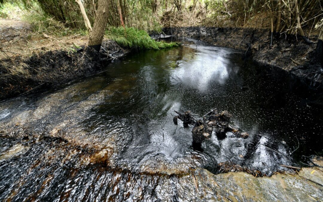 Derrame de Pemex en Veracruz deja un río sin vida y comunidades sin agua
