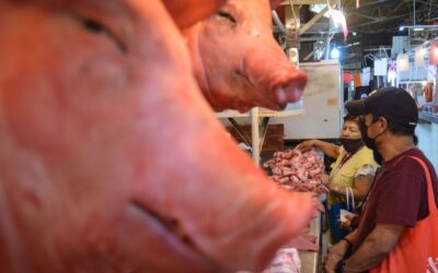 México suspende importaciones de productos porcinos de España por peste porcina