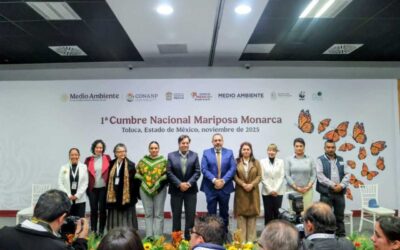México pide a EU y Canadá reforzar la protección de la mariposa monarca